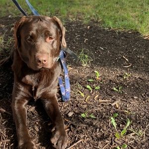 Meet your Posher, Avery